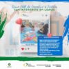 17938067120448108_brasilsolidario
