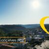 17991405094806011_brasilsolidario