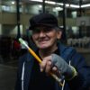 18020691109557949_brasilsolidario