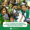 18424444537032848_brasilsolidario