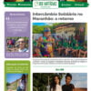 IBS Noticias_NOV_2022_capa