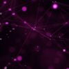 pink-bg-video_997_layer.jpeg